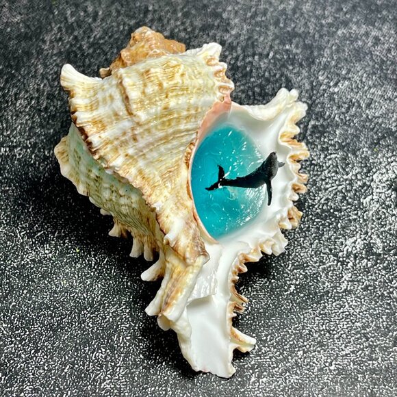 Handmade Conch shell decorative Resin Gifts for fish tank landscaping - Picture 3 of 4